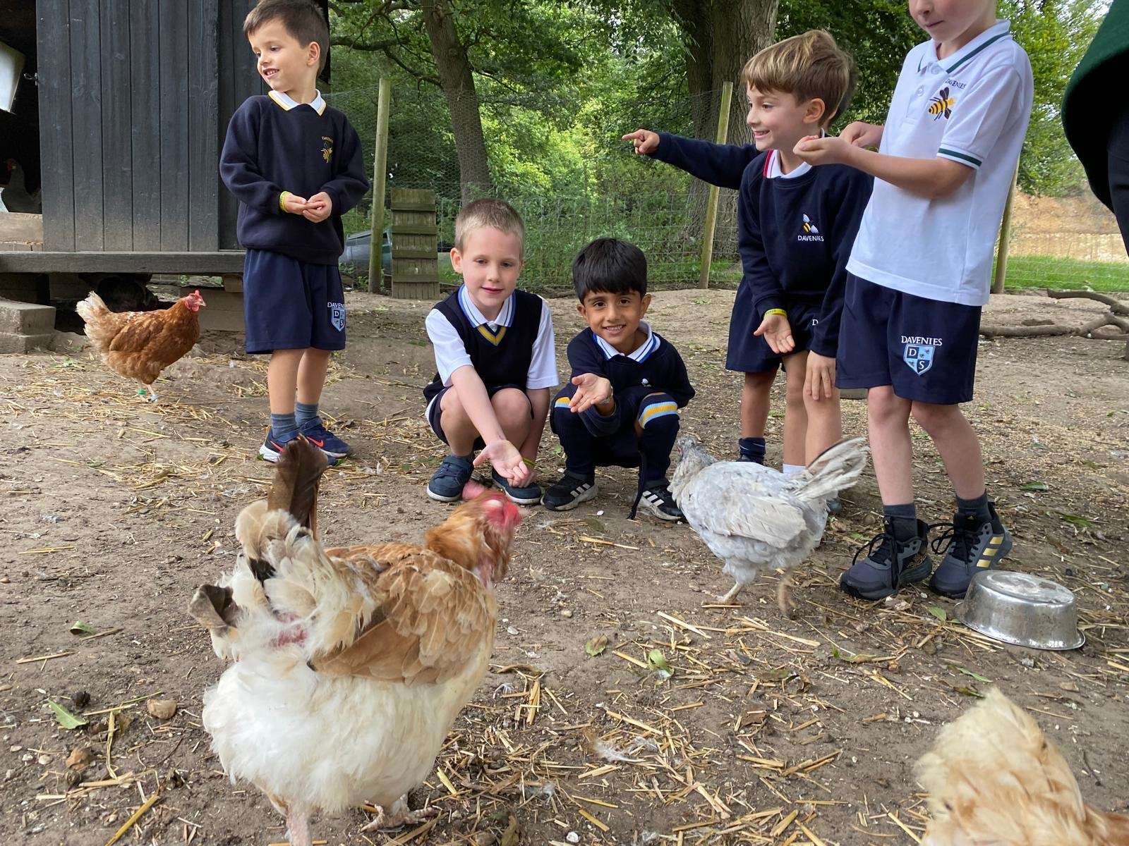 Davenies School