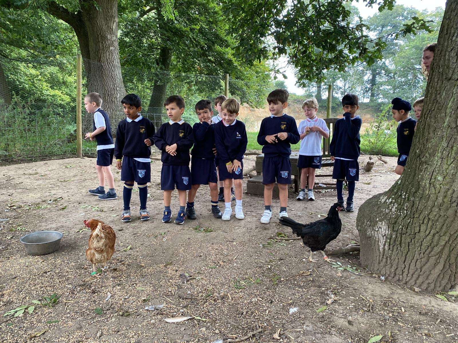 c969246b-69e8-4b3f-8c86-f65b0aa32c2e Davenies School
