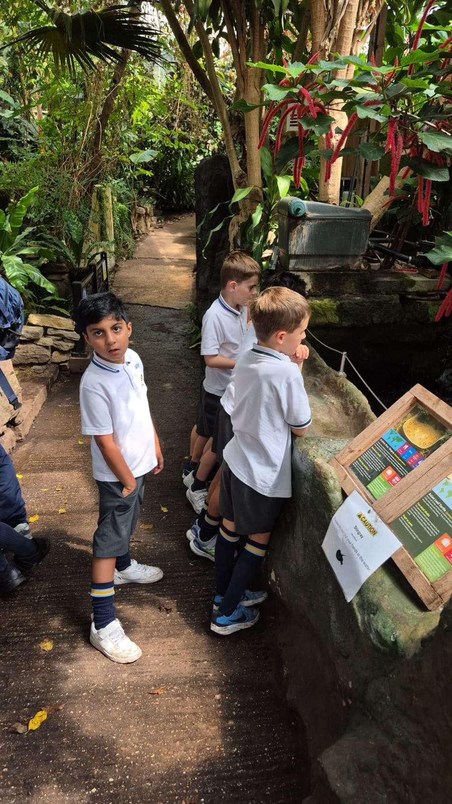 DINP0743 Davenies School
