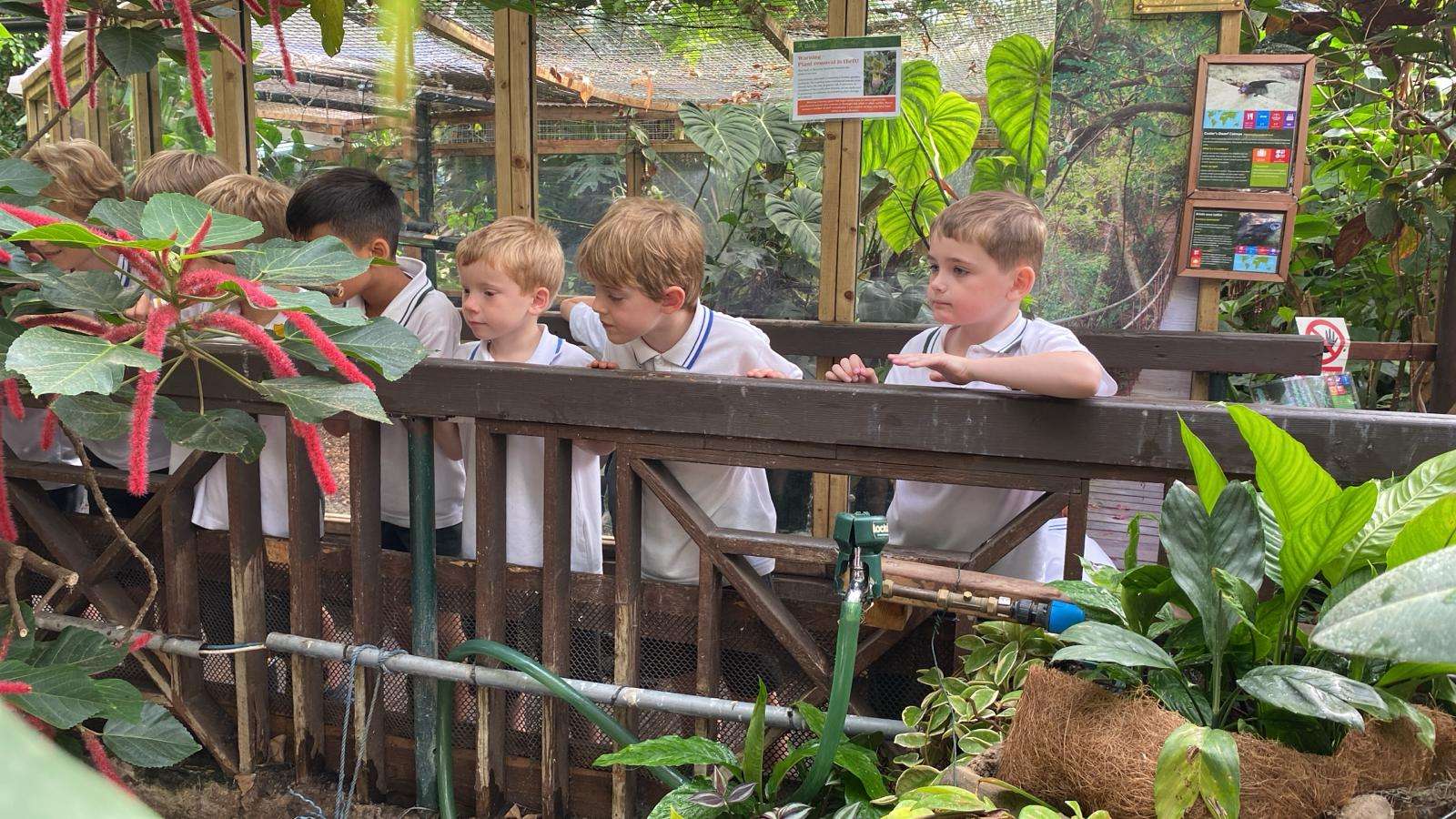 ONAN3785 Davenies School